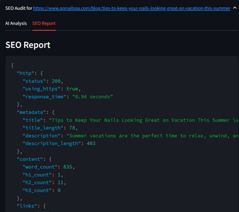 SEO Report